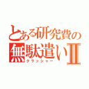 とある研究費の無駄遣いⅡ（クラッシャー）