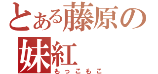 とある藤原の妹紅（もっこもこ）