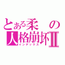 とある柔の人格崩坏Ⅱ（インデックス）