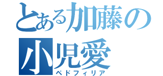 とある加藤の小児愛（ペドフィリア）