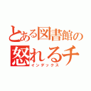 とある図書館の怒れるチビ（インデックス）