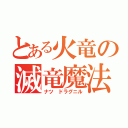 とある火竜の滅竜魔法（ナツ ドラグニル）