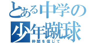 とある中学の少年蹴球（仲間を信じて）