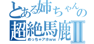 とある姉ちゃんの超絶馬鹿Ⅱ（めっちゃアホｗｗ）