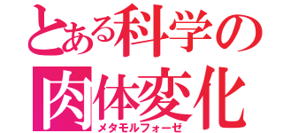 とある科学の肉体変化（メタモルフォーゼ）