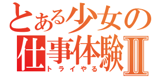 とある少女の仕事体験Ⅱ（トライやる）