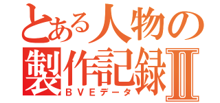 とある人物の製作記録Ⅱ（ＢＶＥデータ）