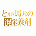 とある馬犬の混栄養剤（ハイポーション）