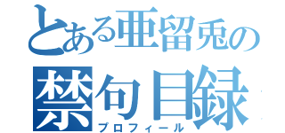 とある亜留兎の禁句目録（プロフィール）