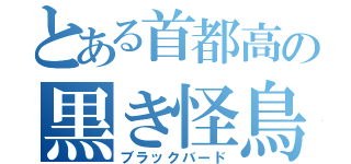 とある首都高の黒き怪鳥（ブラックバード）