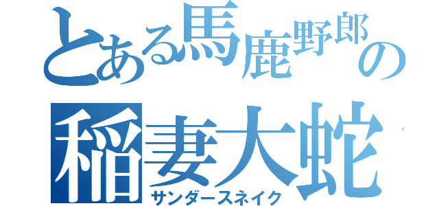 とある馬鹿野郎の稲妻大蛇（サンダースネイク）