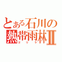 とある石川の熱帯雨林Ⅱ（ゴ　リ　ラ）