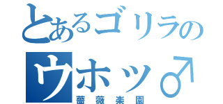 とあるゴリラのウホッ♂（薔薇楽園）