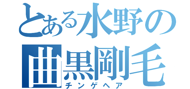 とある水野の曲黒剛毛（チンゲヘア）