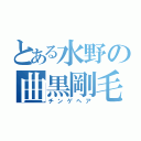 とある水野の曲黒剛毛（チンゲヘア）