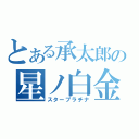 とある承太郎の星ノ白金（スタープラチナ）