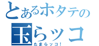 とあるホタテの玉らッコ（たまらッコ！）