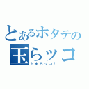 とあるホタテの玉らッコ（たまらッコ！）