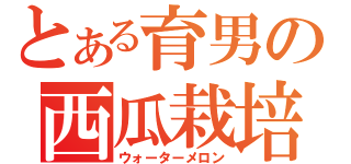 とある育男の西瓜栽培（ウォーターメロン）