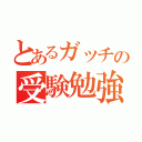 とあるガッチの受験勉強（）