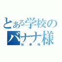 とある学校のバナナ様（加藤様）