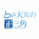 とある天災の正三角（トライアングル）