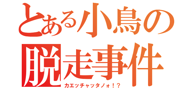 とある小鳥の脱走事件（カエッチャッタノォ！？）