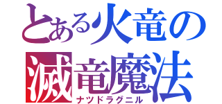 とある火竜の滅竜魔法（ナツドラグニル）