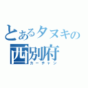 とあるタヌキの西別府（カーチャン）