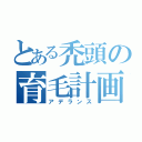 とある禿頭の育毛計画（アデランス）