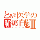 とある医学の腫瘍自慰Ⅱ（ガナニー）