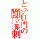 とある肛門の前立腺刺激（エネマグラ）