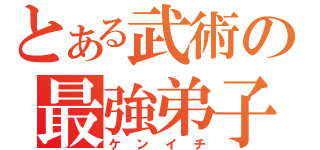 とある武術の最強弟子（ケンイチ）