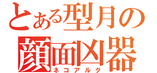 とある型月の顔面凶器（ネコアルク）