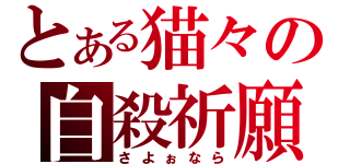 とある猫々の自殺祈願（さよぉなら）