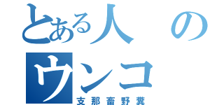 とある人のウンコ（支那畜野糞）