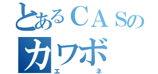 とあるＣＡＳのカワボ（エネ）