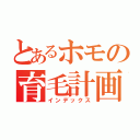 とあるホモの育毛計画（インデックス）