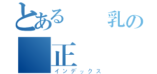 とある 貧乳の 正義（インデックス）