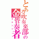 とある吹奏楽部の金管奏者（ホルン☆）