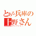 とある兵庫の上野さん（チンパンジー）