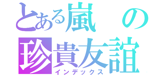 とある嵐の珍貴友誼（インデックス）