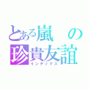 とある嵐の珍貴友誼（インデックス）