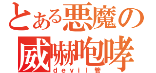 とある悪魔の威嚇咆哮（ｄｅｖｉｌ管）