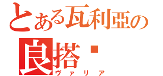 とある瓦利亞の良搭檔（ヴァリア）