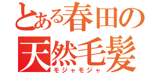 とある春田の天然毛髪（モジャモジャ）