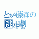 とある藤森の逃走劇（ＴＨＥ  ＥＮＤ）