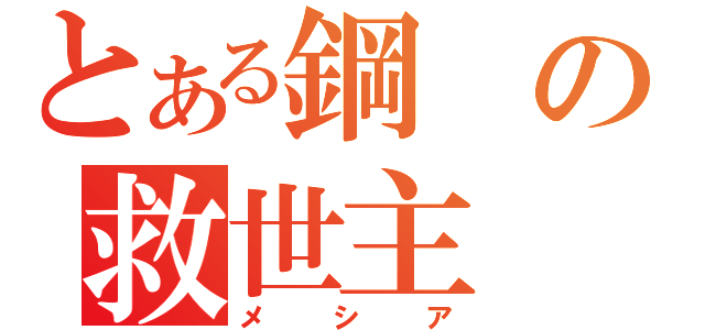 とある鋼の救世主（メシア）