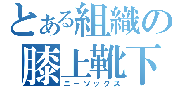 とある組織の膝上靴下（ニーソックス）