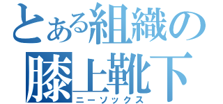 とある組織の膝上靴下（ニーソックス）